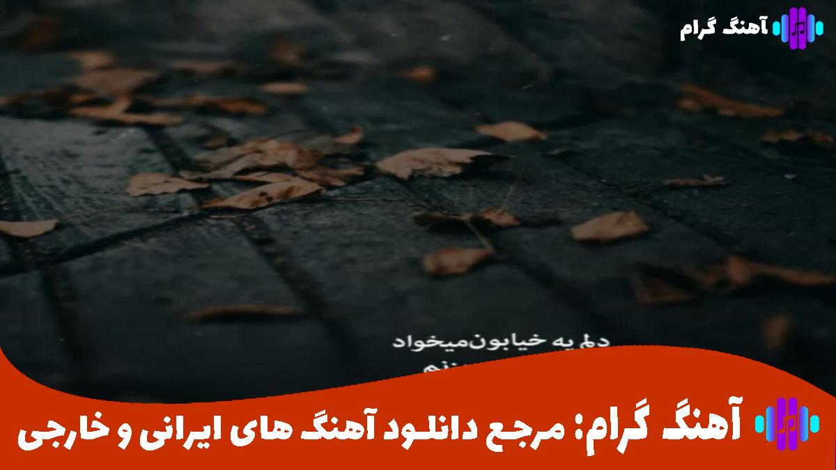 کاور آهنگ سیس میگیری انگار سرت شلوغه بیا برو از 